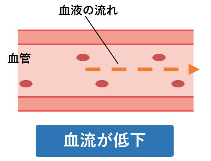 血液の流れ①